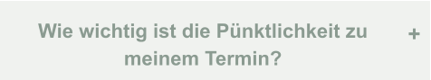 Wie wichtig ist die Pünktlichkeit zu  meinem Termin? +